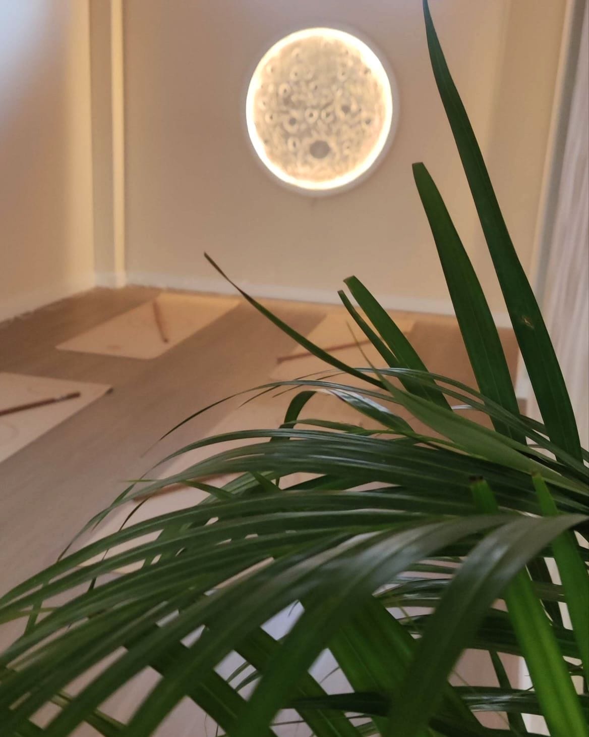 La lámpara con forma de luna encendida sobre la pared, tras las hojas de una planta.